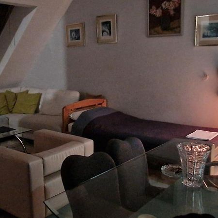 Apartman Natasa 3 Vrsac Buitenkant foto