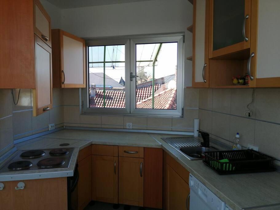 Apartman Natasa 3 Vrsac Buitenkant foto